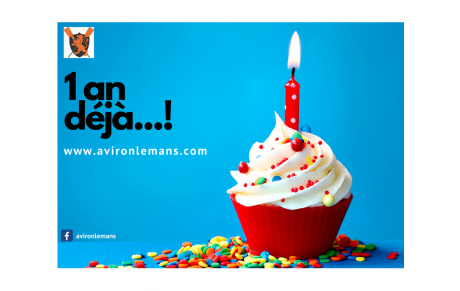 Avironlemans.com fête sa 1ère bougie !