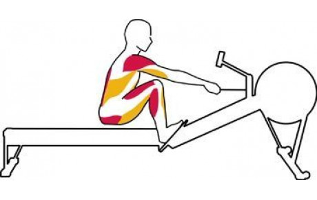 Resultats du 9 Décembre