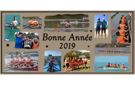 Bonne Année 2019 