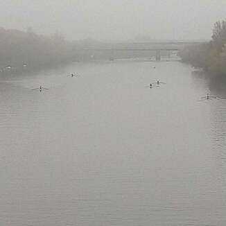 Tête de rivière d'Angers